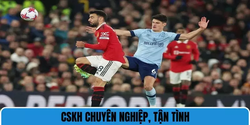 Nền tảng gây ấn tượng với dịch vụ thật sự chỉn chu