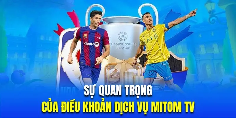 Mức độ quan trọng trong điều khoản Mitomtv