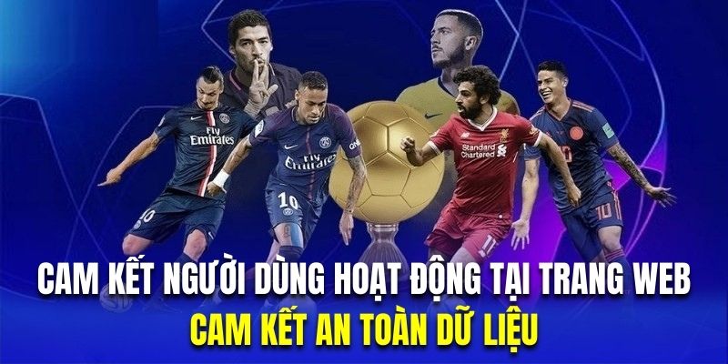 Tất cả dữ liệu của hội viên tại hệ thống đều được giữ kín tuyệt đối