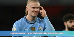 erling-haaland