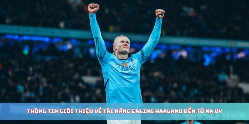 Thông tin giới thiệu về tài năng Erling Haaland đến từ Na Uy